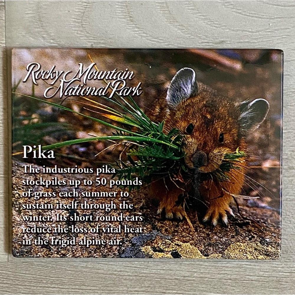 🔶 {4/$12} Rocky Mountain National Park Pika Magnet